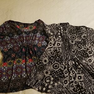 Lot of 2 Tops 3x (22w/24w) Print